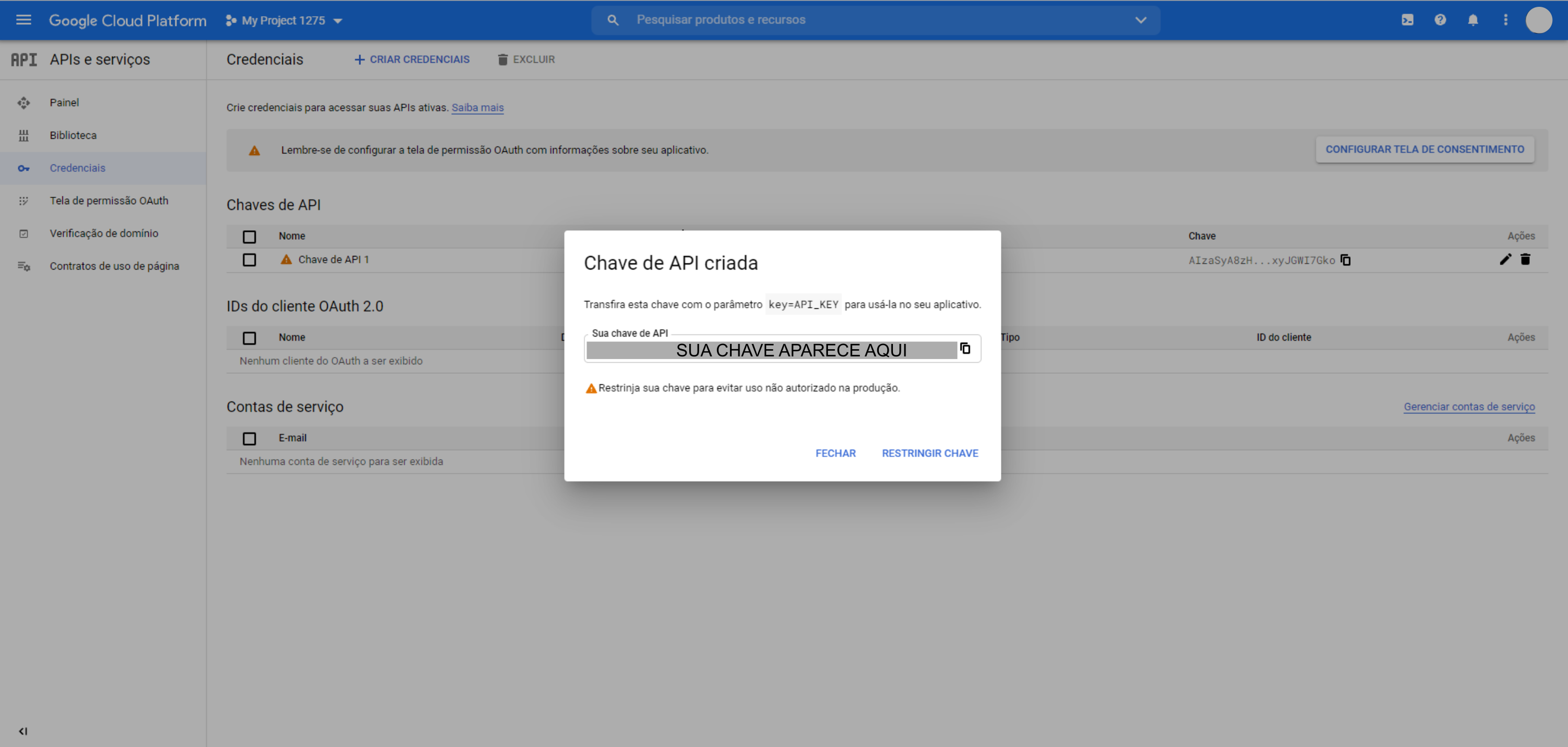 Tutorial chave API google